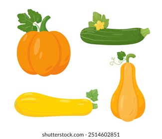 Conjunto de calabazas e iconos de calabacín. Granja de verduras de otoño. Planta de calabaza y calabacín. Comida vegetariana de jardín orgánico. Ilustración vectorial aislada sobre fondo blanco.