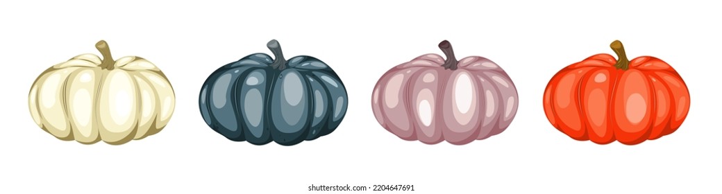 A set of pumpkins.Autumn pumpkins of different colors .Items for Thanksgiving, Halloween.Vector illustration.