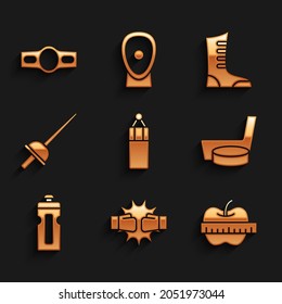 Set Punching bag, boxing gloves, Apple and measuring tape, Ice hockey stick puck, Fitness shaker, Fencing, Sport shoes and Boxing belt icon. Vector