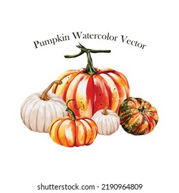 Set of punpkins watercolor vector illustration design great for cards, banners, headers, party posters or decorate your artwork.