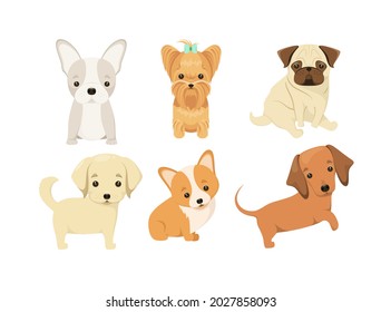 A set of puppies of different breeds on a white background. Cartoon-style dogs. French bulldog, Yorkshire terrier, pug, corgi, dachshund, golden retriever.