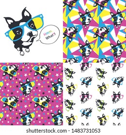 Set. Puppy dog and big glasses. Vector illustrationss.