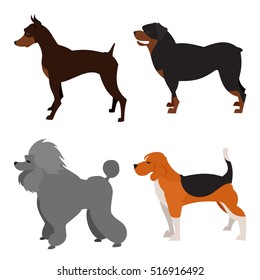 Set of purebred dogs