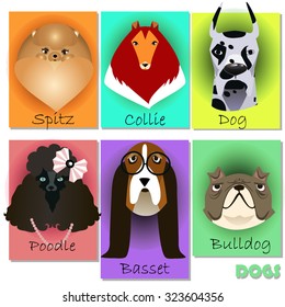 set with purebred dogs head