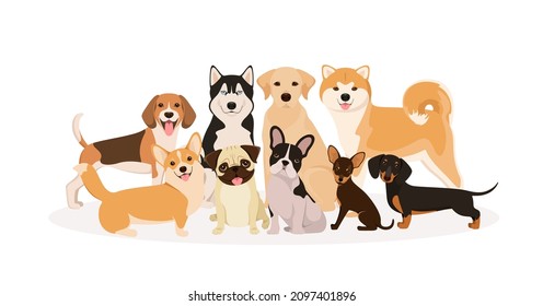 Un conjunto de perros puros con un fondo blanco. Caricatura dihain.
