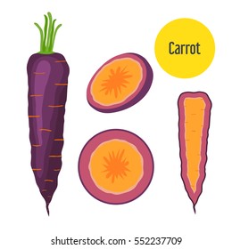 Set of purple carrot. Healthy garden nutrition, organic ripe carrot for restaurant, market. Flat style.