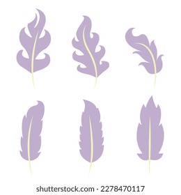 Juego de plumas moradas de estilo plano. Bonitos elementos de diseño.