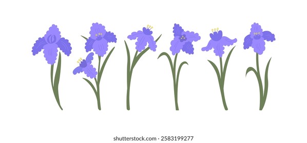 Set of purple iris brunches. Vector floral hand drawn botanical illustration. Elegant spring and summer flower cliparts with buds and leaves