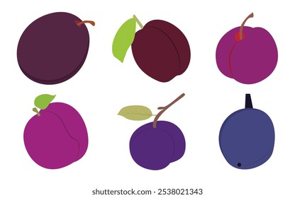 Set von violetten Pflaumen Frucht Vektorgrafik.