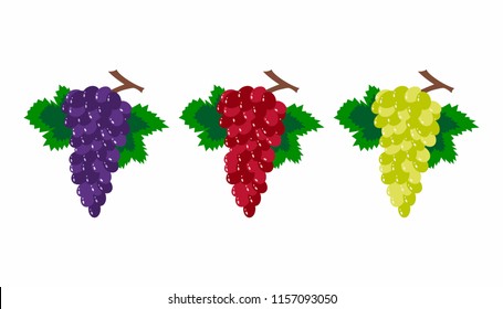 Set of purple, red and white table grapes, bunch of wine grapes. Flat design. Isolated on white