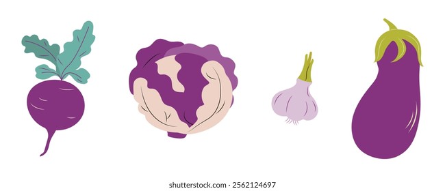 A set of purple vegetables: beetroot, cabbage, garlic, eggplant. Isolated on a white background. Flat vector illustration.