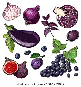 Set of purple vegetables and fruits. A vector color sketch of food on a white background. Eggplant, grapes, figs, plum, cabbage, purple onion, basil