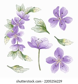 set of a purple and violet flowers