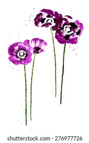 Set of purple watercolor poppy flowers