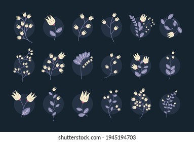 Set of purple and white flowers