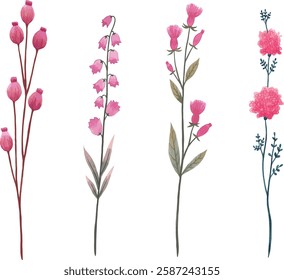 set of purple wild flowers vector illustration series 1