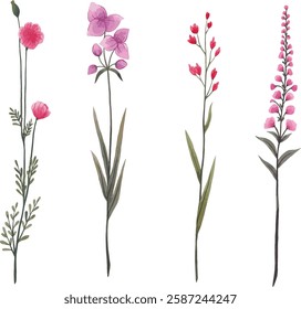 set of purple wild flowers vector illustration series 4