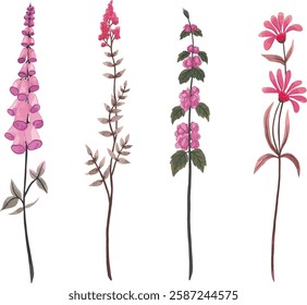 set of purple wild flowers vector illustration series 5