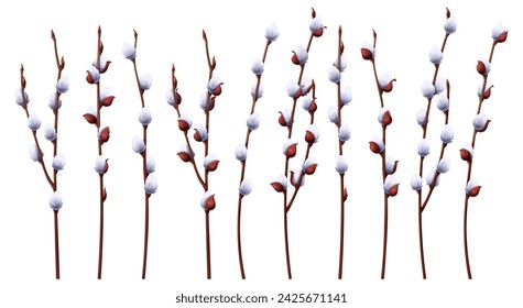 Set of pussy willow branches on an isolated background. Vector illustration for the design of cards, posters, flyers for Easter. Spring time.