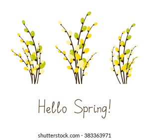 Set of pussy-willow bouquets isolated on white