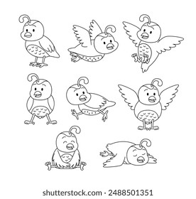 Set of quail doodle collection, quail outline coloring page or book animals for kindergarten, Vector line art set of bird animals wildlife, Hand drawn, minimal quail line art doodle in different pose.