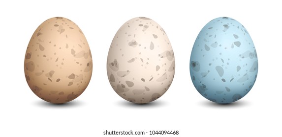 Set of Quail Eggs Isolated on White Background. Vector illustration