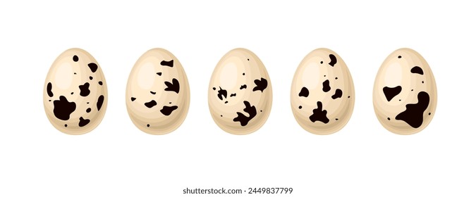 Conjunto de huevos de codorniz aislados sobre fondo blanco. Vector ilustración de dibujos animados. 