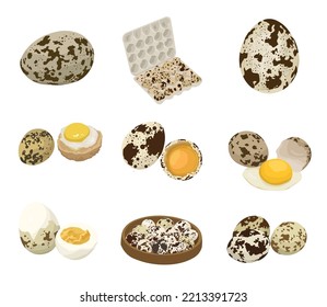 Set of quail eggs on white background