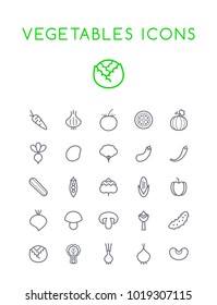 Set of Quality Isolated Universal Standard Minimal Simple Black Thin Line Vegetables Icons on White Background