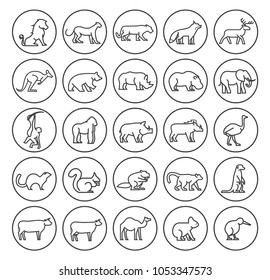 Set of Quality Universal Standard Minimal Simple Black Thin Line Animals on Circles on White Background 