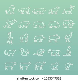 Set of Quality Universal Standard Minimal Simple White Thin Line Animals on Color Background 