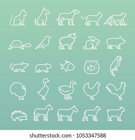Set of Quality Universal Standard Minimal Simple White Thin Line Animals on Color Background 