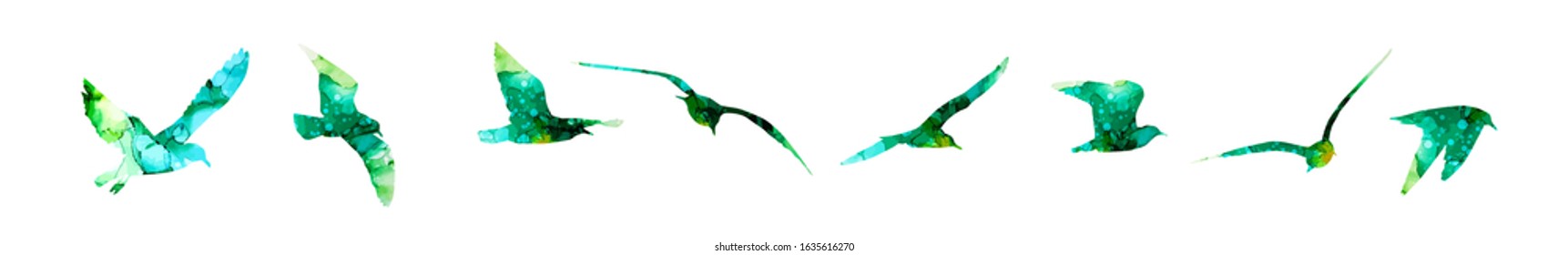 set of quarel seagulls. Mixed media. Vector illustration
