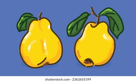 Set of Quince fruit, Flat Vector illustration in Outline Stroke style, Colorful fruit with shadow and light icon, isolated on colored background.