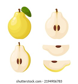 A set of quinces on a white background. Cartoon design.
