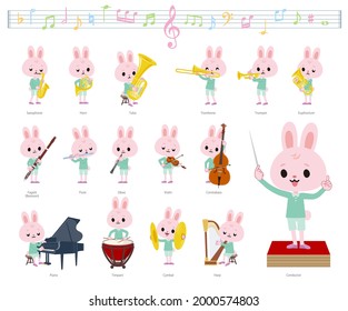 A set of Rabbit boy on classical music performances.It's vector art so it's easy to edit.