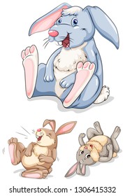 Set of rabbit character illustration