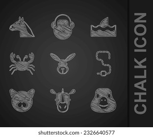 Set Rabbit head, Rhinoceros, Goose bird, Worm, Cat, Crab, Shark fin ocean wave and Horse icon. Vector