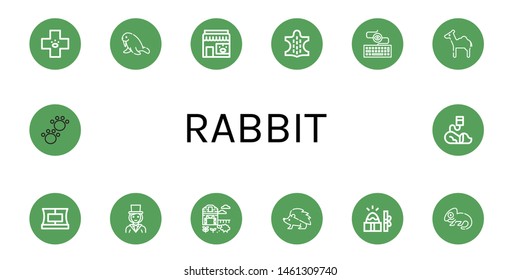 Set of rabbit icons such as Veterinary, Walrus, Pet shop, Animal, Keylogger, Camel, Collar, Magician, Sheep farm, Hedgehog, Easter, Chameleon , rabbit