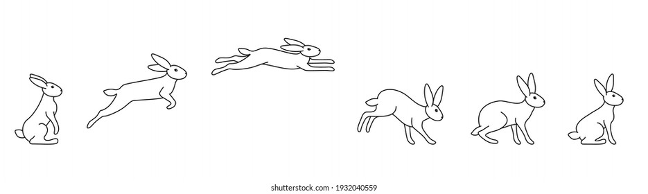 A set of rabbit jump phases. The hare sits, prepares to jump, jumps, lands. Black outline on a white background. Vector illustration in doodle style.