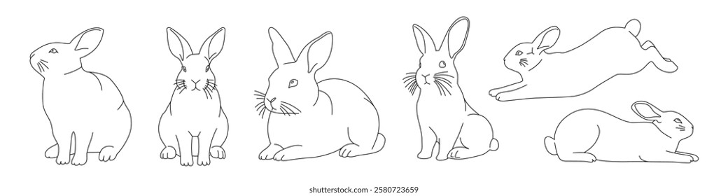 Set of rabbit line drawings in different poses. Outline sketch of bunnies in sitting, lying, and jumping positions. Animal vector illustration for Easter design, coloring book, design, and print