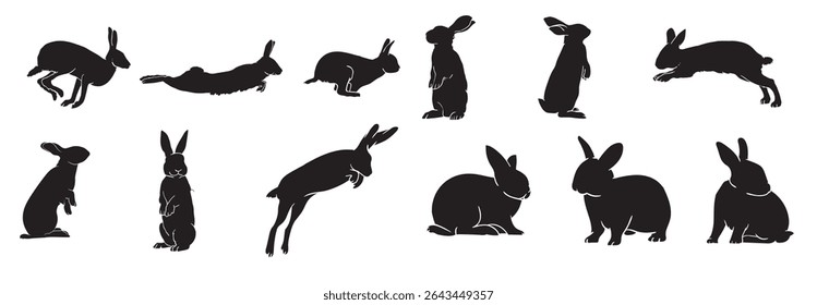 Set of rabbit vector illustration
