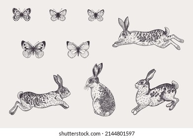 Set with rabbits and butterflies. Black and white.