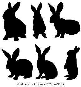 set of rabbits, silhouettes, white background