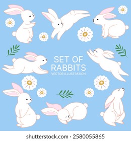 set of rabbits vector illustration, animal wildlife concept, easter day concept, cartoon and character design