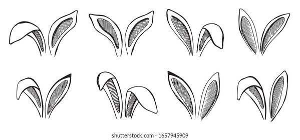 Set rabbits's ears  Hand drawn illustration 