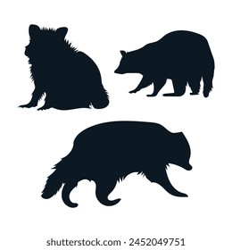 Set von Waschbär Silhouette Vektorgrafik