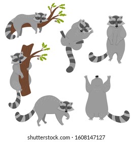 Set of raccoons isolated on a white background. Vector graphics.