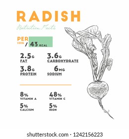 Set of radish, health benefits. Vector illustration with useful nutritional facts. 