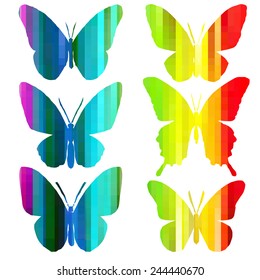 Set of rainbow colorful tropical butterflies. Vector illustration on white background.